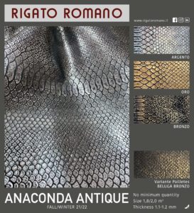 Anaconda