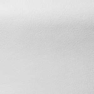Mousse Gesso