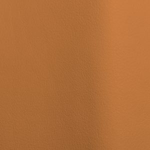 Mousse Mango