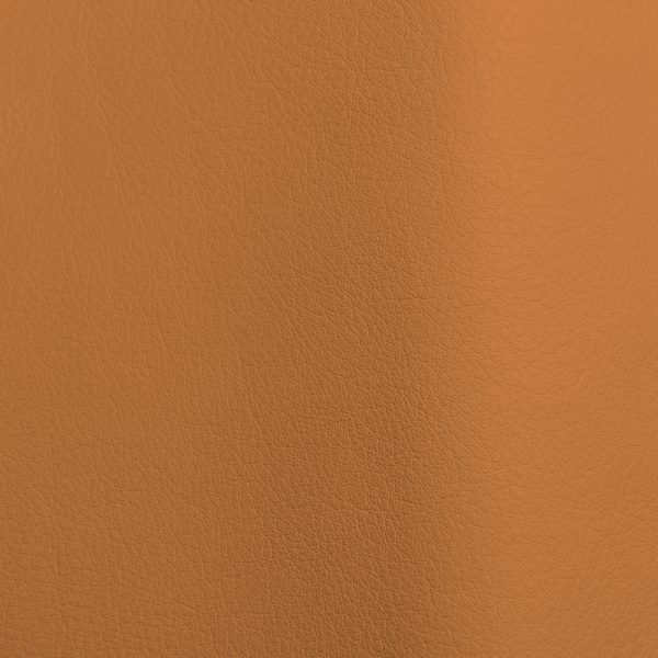 Mousse Mango